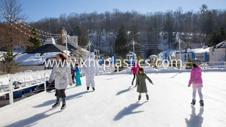 Synthetic Ice Rink Panel